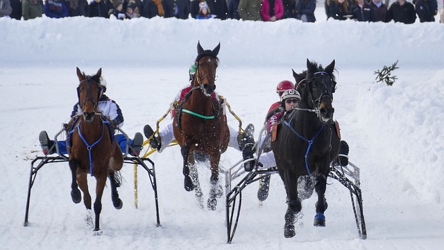 NBA杯战报：东契奇35+11，湖人129-119击败独行侠
