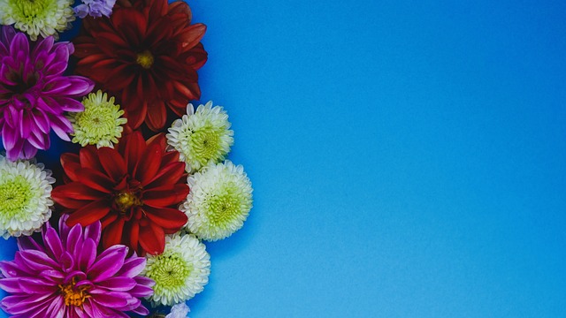 內馬爾的世 內馬爾的世