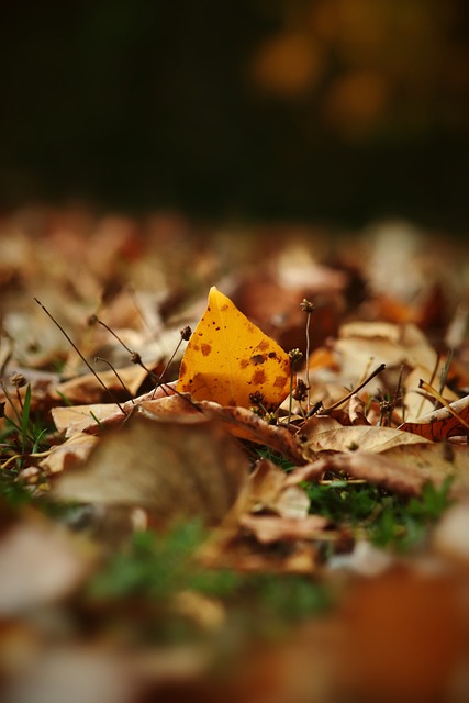 德甲赛场上 德甲赛场上