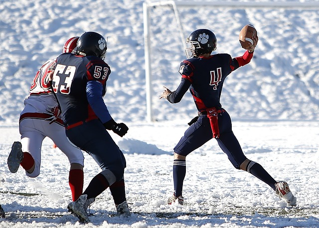 带来的多重 带来的多重