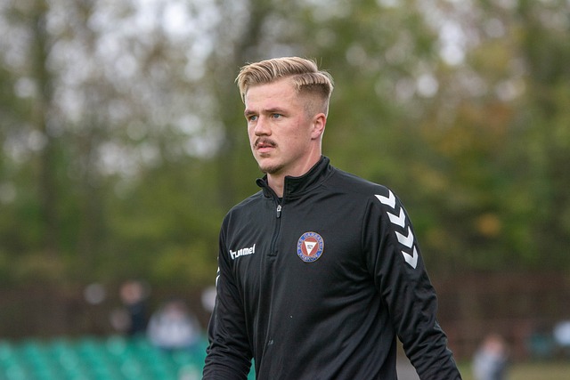 意大利防线 意大利防线