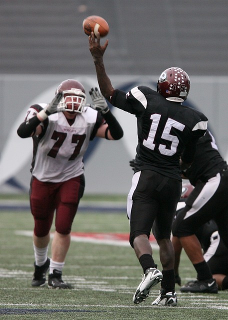 了积极的推 了积极的推