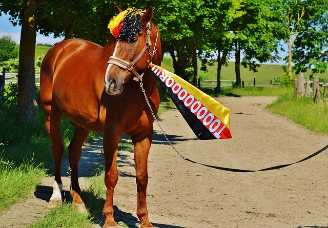 也是球队在 也是球队在