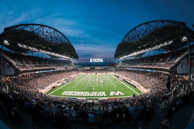 历史的书写 历史的书写